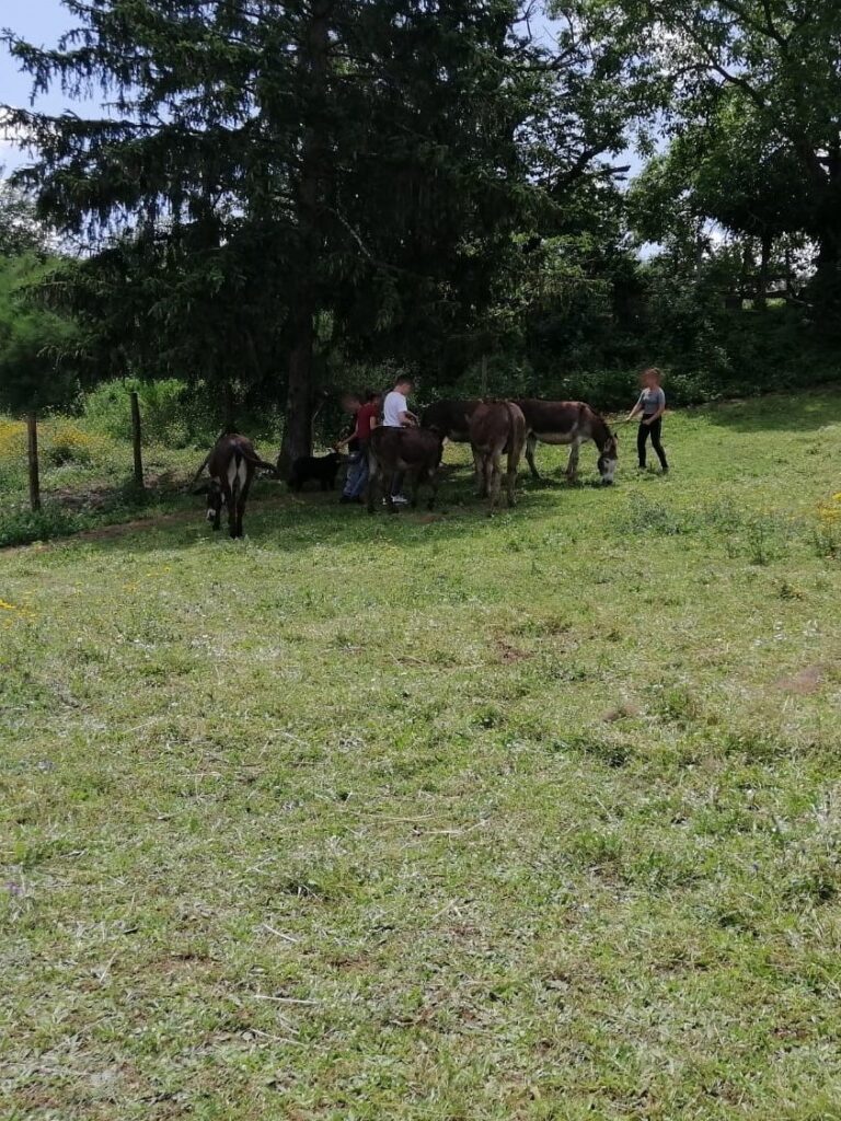 Campo Scuola 2023